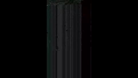 Jdd 2.5 online show from April 28, 7:56 am