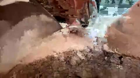 j789123 online show from March 23, 2:00 pm