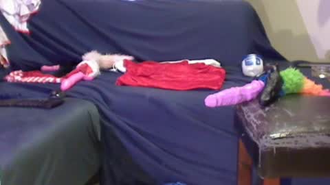 JACKSLUT BUY ME . FAN CLUB MEMBERS AND THOSE WHOM THE MEMBERS INDICATE SISY SLUT PROVIDES THEM  FREE SERVICES online show from December 29, 2:06 am