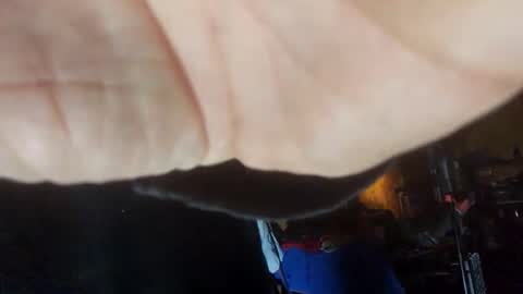 Dess online show from January 24, 11:04 am