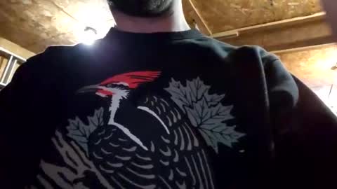 Dess online show from January 5, 2:49 am