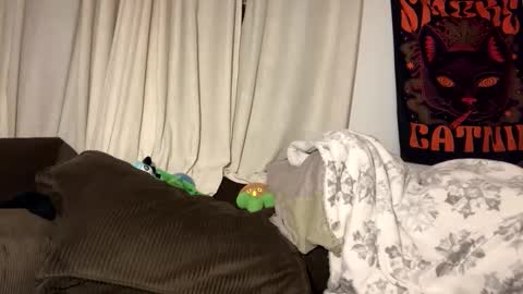 sophi scott online show from November 27, 9:50 am