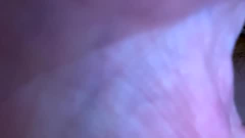 jackjackerman online show from January 14, 12:46 pm