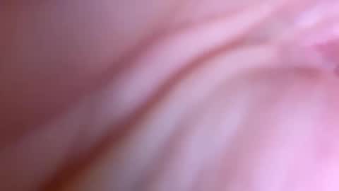 jackjackerman online show from September 19, 4:22 pm