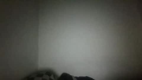 jack online show from February 15, 4:47 am