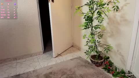 Jahgio online show from November 19, 7:08 am