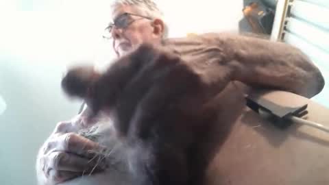 james age 75 online show from November 19, 6:18 pm