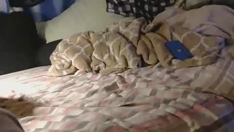 JayAmaze online show from November 4, 5:42 am