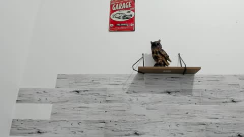 Jaycreedd online show from September 11, 12:34 am