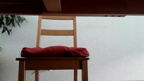 Juan online show from November 10, 8:50 am