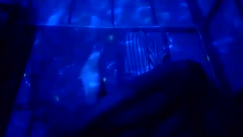 jcineylpnezy online show from October 19, 8:02 pm