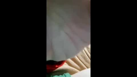 jedlick58jj58 online show from January 19, 10:03 am