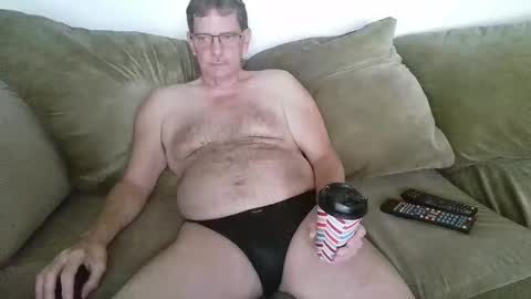 Bear in Massachusetts online show from September 26, 11:29 am