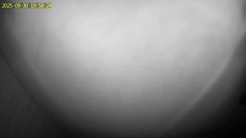 Jehovathiccness online show from June 5, 4:08 am