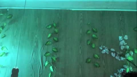 Jenelotizz online show from September 27, 6:27 pm