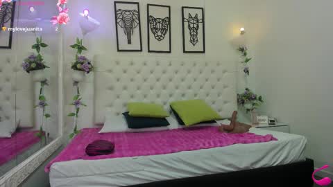 jenny_stark online show from November 14, 11:23 am