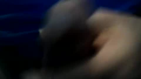 JoeEBear online show from November 5, 12:29 pm