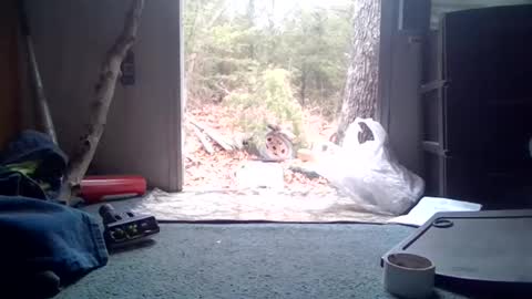 jeraldlovell79 online show from March 18, 2:23 pm