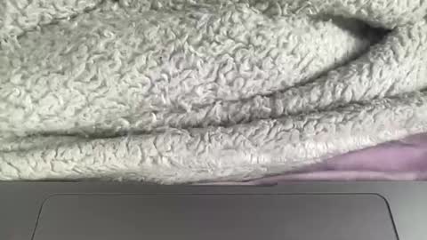 Snapshot of jerking1981 chatting on January 1, 4:50 pm jerking1981 online show from January 1, 4:50 pm