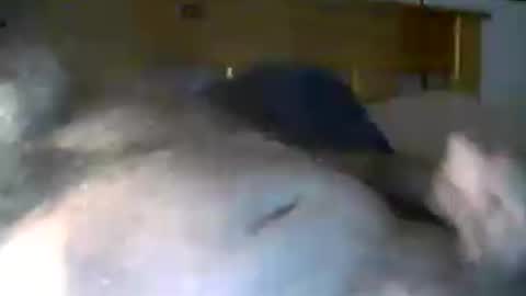 jerkmate6666 online show from June 25, 11:10 pm