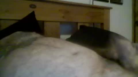 jerkmate6666 online show from March 12, 11:41 pm