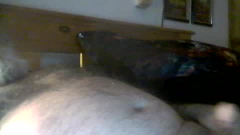 jerkmate6666 online show from July 26, 7:17 am