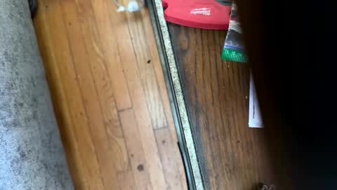 Jeremys room chill and puff one enjoy online show from January 12, 8:27 pm