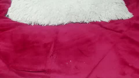 jessy online show from November 25, 12:42 am