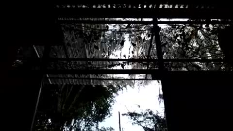 jesuyave online show from April 19, 6:10 pm