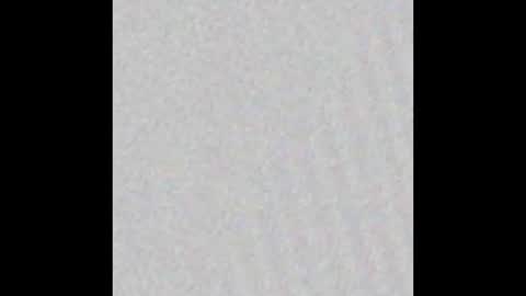 jinscreet online show from February 20, 10:59 am