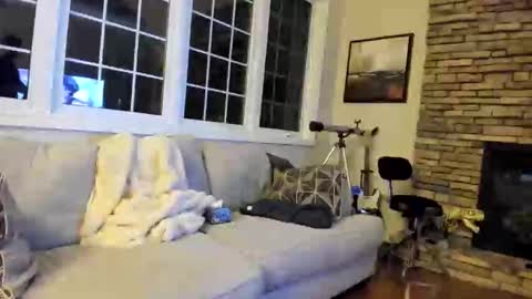 Snapshot of jjman850jjj1234 chatting on November 2, 3:50 am jjman850jjj1234 online show from November 2, 3:50 am