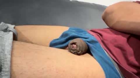 Jkish2026 online show from January 8, 1:39 pm