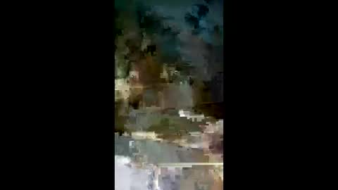 jmg2026 online show from March 8, 4:44 pm