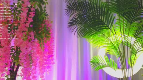 Eva online show from April 10, 7:40 pm