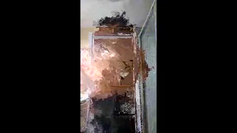 joansebastian9793 online show from February 11, 8:23 pm