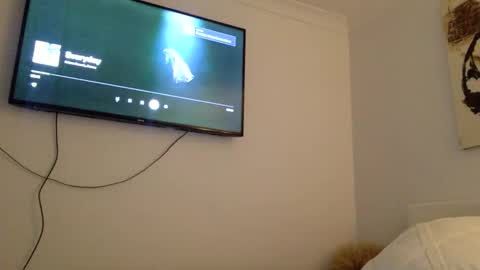 JOEL online show from November 12, 8:49 am