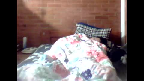 johan70nsexy online show from November 25, 1:04 am