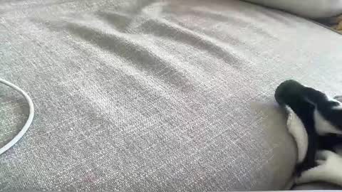 johnfl03 online show from February 3, 3:16 pm