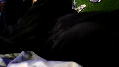 Jony Marta GMT 2000-0100 every day online show from November 7, 7:16 pm