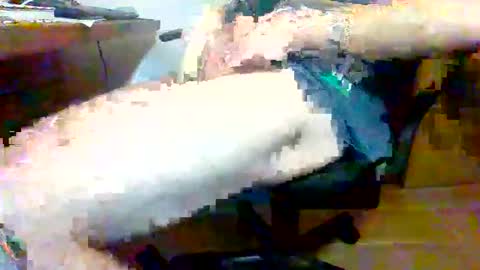 joydivision_1984 online show from February 25, 12:25 am