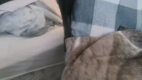 Join My Fan Club To Get To Know Me Better online show from March 9, 4:11 pm