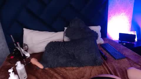 judy_campbell online show from February 20, 8:22 pm