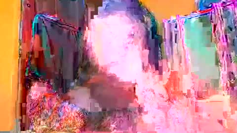 zyra online show from September 25, 12:12 pm