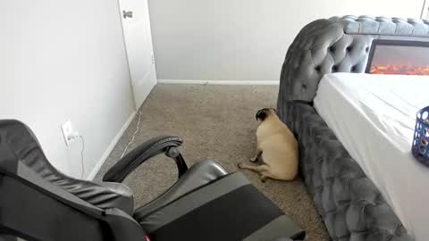 july online show from September 16, 6:44 pm