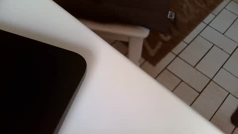 Kev online show from February 9, 11:47 am