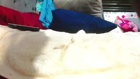 KARLY.  online show from April 11, 6:40 am