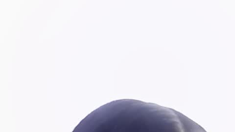 Help me with rate thanks  online show from September 16, 5:38 pm