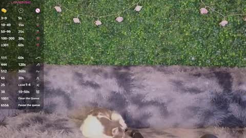 Katerina online show from April 17, 9:50 pm