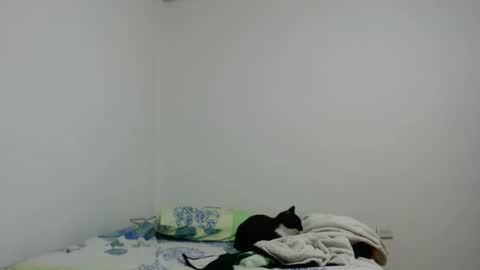 Snapshot of katherine_rodas2 chatting on October 25, 8:53 pm katherine_rodas2 online show from October 25, 8:53 pm