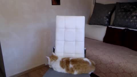 Kathy online show from October 2, 5:06 am